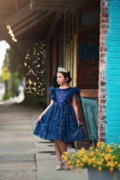 MILLY DRESS SPARKLE NAVY -Trish Scully 10 1