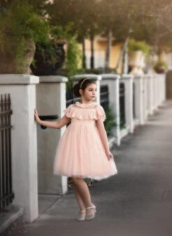 GIOVANNA DRESS PINK -Trish Scully 116 1