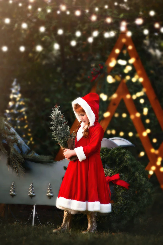 SANTA'S LITTLE HELPER 3 SANTA'S LITTLE HELPER