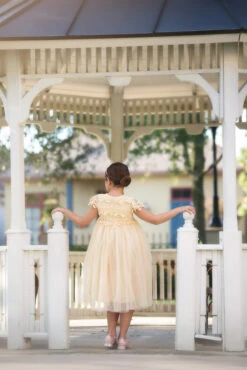 KATRINA DRESS BUTTERSCOTCH 8 KATRINA DRESS BUTTERSCOTCH -Trish Scully 172 3