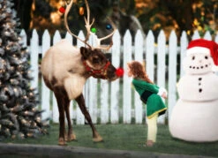 THE ELF -Trish Scully 186 2