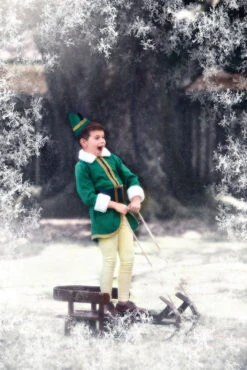 THE ELF -Trish Scully 186 3