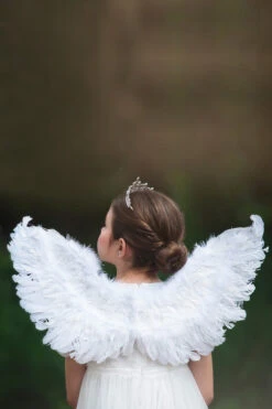 FEATHER WINGS -Trish Scully 24 3 6a719002 9947 4dec 898c 11c2e0df058f