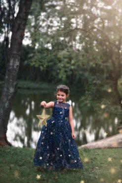 STARGAZER TIARA -Trish Scully 268 3