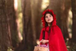 LUXE RED RIDING HOOD DRESS & CAPE SET -Trish Scully 279 2