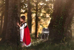 LUXE RED RIDING HOOD DRESS & CAPE SET -Trish Scully 279 3