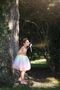 FAIRY DRESS, WINGS & WAND 3PC. SET 11 FAIRY DRESS, WINGS & WAND 3PC. SET -Trish Scully 280 5