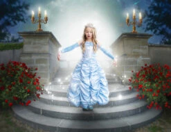 PRINCESS CAROLINE GOWN & GLOVE SET -Trish Scully 286 4