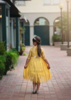 BELLA RAFAELA DRESS & BELT SET SUNFLOWER 13 BELLA RAFAELA DRESS & BELT SET SUNFLOWER -Trish Scully 292 6