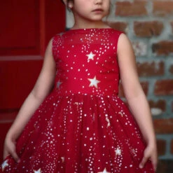 ANTOINETTE GOWN CRIMSON -Trish Scully 2 8a1fd718 ff2d 4eaa a140 e73fb5f2464d