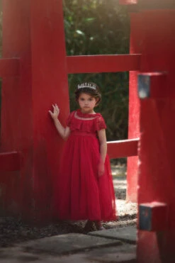 GIOVANNA GOWN CRIMSON 9 GIOVANNA GOWN CRIMSON -Trish Scully 331 1