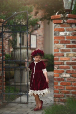 ROSALINA DRESS BURGUNDY VELVET 9 ROSALINA DRESS BURGUNDY VELVET -Trish Scully 339 4