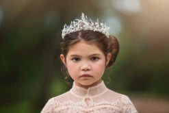 ICE QUEEN TIARA -Trish Scully 343 1