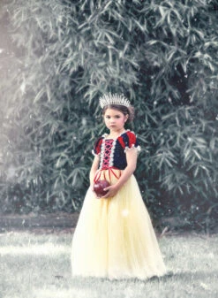 FLASH SALE PRINCESS KATE DRESS -Trish Scully 348 4