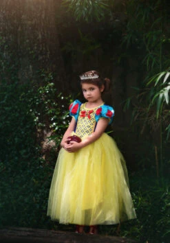 GENEVIEVE COSTUME 15 GENEVIEVE COSTUME -Trish Scully 349 1