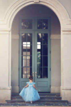 FLASH SALE QUEEN OF THE KINGDOM PRINCESS DRESS COSTUME 14 FLASH SALE QUEEN OF THE KINGDOM PRINCESS DRESS COSTUME -Trish Scully 417 4