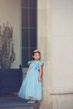 FLASH SALE QUEEN OF THE KINGDOM PRINCESS DRESS COSTUME 15 FLASH SALE QUEEN OF THE KINGDOM PRINCESS DRESS COSTUME -Trish Scully 417 5