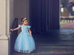 FLASH SALE QUEEN OF THE KINGDOM PRINCESS DRESS COSTUME 16 FLASH SALE QUEEN OF THE KINGDOM PRINCESS DRESS COSTUME -Trish Scully 417 6