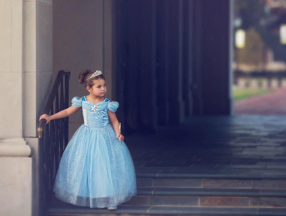 FLASH SALE QUEEN OF THE KINGDOM PRINCESS DRESS COSTUME 8 FLASH SALE QUEEN OF THE KINGDOM PRINCESS DRESS COSTUME - Image 6