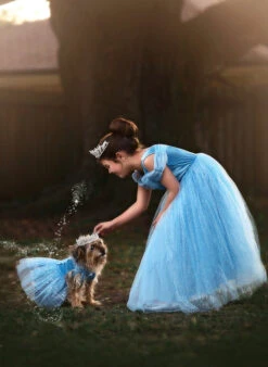 FLASH SALE QUEEN OF THE KINGDOM PRINCESS DRESS COSTUME 18 FLASH SALE QUEEN OF THE KINGDOM PRINCESS DRESS COSTUME -Trish Scully 417 8