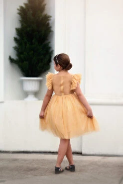 MILLY DRESS SPARKLING CHAMPAGNE -Trish Scully 52 3