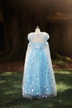 ICE QUEEN GOWN FOR WOMEN -Trish Scully 60 3
