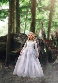 MARIPOSA GOWN SILVER 9 MARIPOSA GOWN SILVER -Trish Scully 65 4