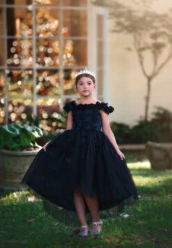 BELLE GOWN BLACK -Trish Scully 70 1 b556679b a027 4761 bb51 6cab3042c4f4