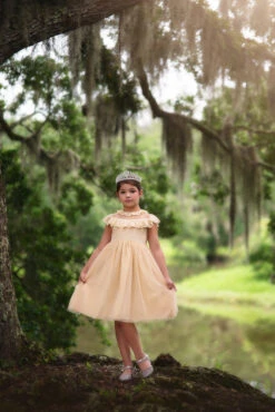 GIOVANNA DRESS BUTTERSCOTCH -Trish Scully 71 1 a37c6a66 173a 4942 a916 37b0e63c6c10