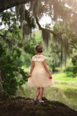 GIOVANNA DRESS BUTTERSCOTCH -Trish Scully 71 3 66b2b897 f3e8 47f7 afd0 1435e90b1784