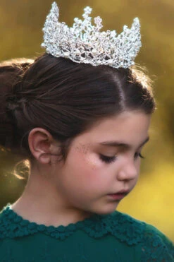 FIONA CROWN -Trish Scully 90