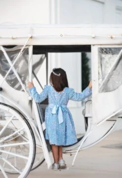 EMMA SEQUIN DRESS BLUE -Trish Scully EMMABLUE4