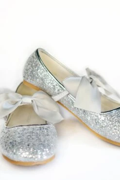 HADLEE SEQUIN SHOE SILVER -Trish Scully Myproject 1 2023 04 14T110727.078