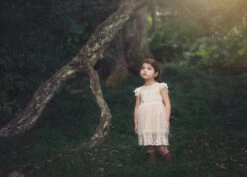 OLIVIA DRESS BUTTERSCOTCH -Trish Scully TS12fb