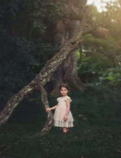 OLIVIA DRESS BUTTERSCOTCH -Trish Scully TS15fb