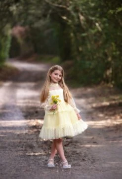 SILVER REGAL PRINCESS SHOE -Trish Scully TSC13fbcopy6