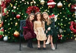 EMMA SEQUIN DRESS WINE 12 EMMA SEQUIN DRESS WINE -Trish Scully TSC14fb 1 a750658b 58d6 4699 a534 adf587dd2e9e