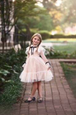 ELLE DRESS IVORY -Trish Scully TSC14fb c5d06c8f 72f7 4f38 89fa 2dd677c93f8a