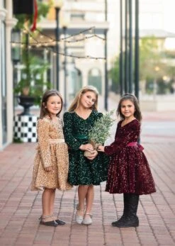 EMMA SEQUIN DRESS WINE 17 EMMA SEQUIN DRESS WINE -Trish Scully TSC15fb 3 b5df9ed7 96d8 4f22 a8d7 48aadfd984db