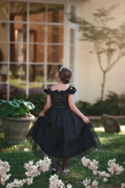 BELLE GOWN BLACK -Trish Scully TSC33fb 1