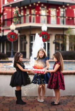 EVANGELINE DRESS CRIMSON JACQUARD -Trish Scully TSC3fb 063a3827 34c6 45f9 b210 7a1e361c977c