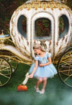 FLASH SALE QUEEN OF THE KINGDOM MINI DRESS -Trish Scully TSC40fb