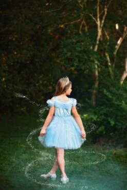 FLASH SALE QUEEN OF THE KINGDOM MINI DRESS -Trish Scully TSC42fb