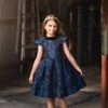 EVANGELINE DRESS NAVY JACQUARD 2 EVANGELINE DRESS NAVY JACQUARD -Trish Scully TSC42fb 1