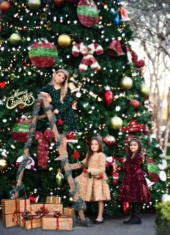 EMMA SEQUIN DRESS WINE 15 EMMA SEQUIN DRESS WINE -Trish Scully TSC4fb 2 6fc35426 0d9d 4c25 a372 08bd2b524721