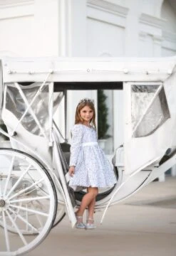 SILVER REGAL PRINCESS SHOE -Trish Scully TSC52fb f49f9ef8 b1fb 40a6 8717 c97a5429f2c7