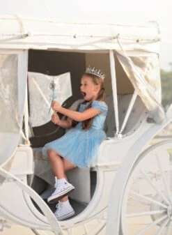 FLASH SALE QUEEN OF THE KINGDOM MINI DRESS -Trish Scully TSC7fb 8