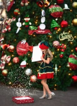 JANIE THE ELF DRESS & HAT SET 10 JANIE THE ELF DRESS & HAT SET -Trish Scully TSC9fb 1 3b1c27ce 30bf 4f2d 8411 9a554885bc3c