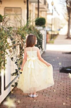 ANTOINETTE GOWN SUNSHINE 7 ANTOINETTE GOWN SUNSHINE -Trish Scully antoinsun3