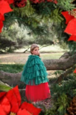 THE CHRISTMAS CAPE -Trish Scully christmascape5